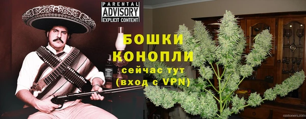 крисы Богородск