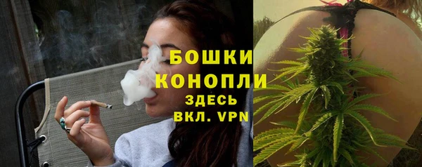 крисы Богородск