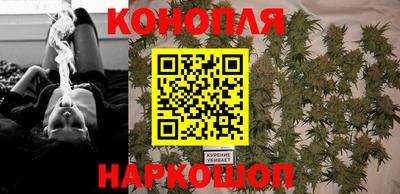 шишки Краснознаменск