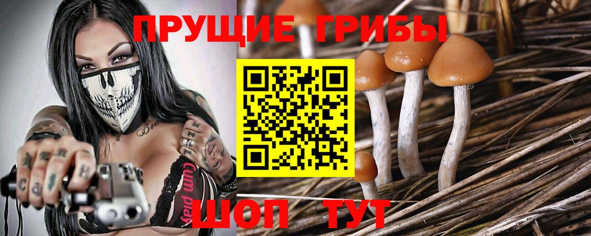 купить   Псилоцибиновые грибы ЛСД  Вход с VPN  Кузнецк 
